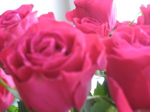 blommor1.JPG