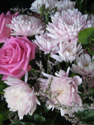 blommor5.JPG
