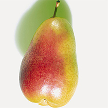 th_paron_222.jpg