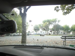 idr8.JPG