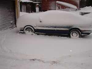 snoimars-3.jpg